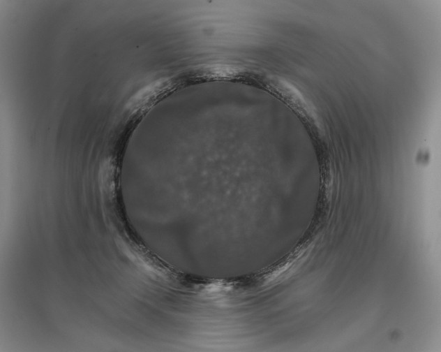 X0000096700366200802261611