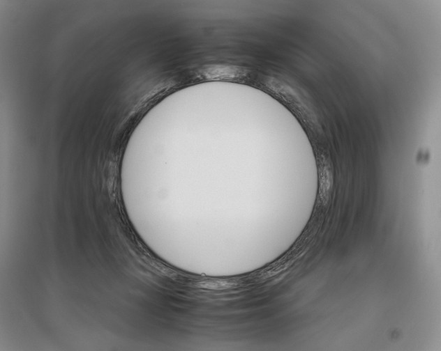 X0000096700367200802261611