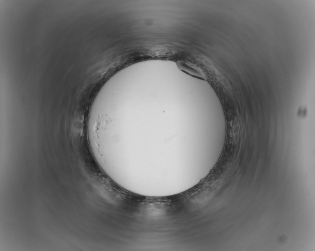 X0000096700368200802261611