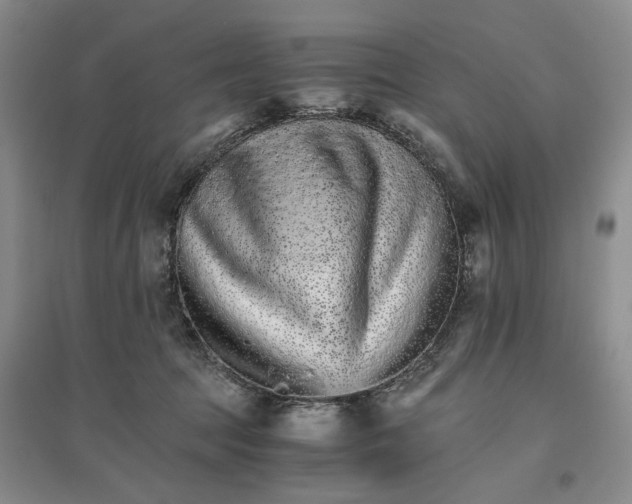 X0000096700369200802261611