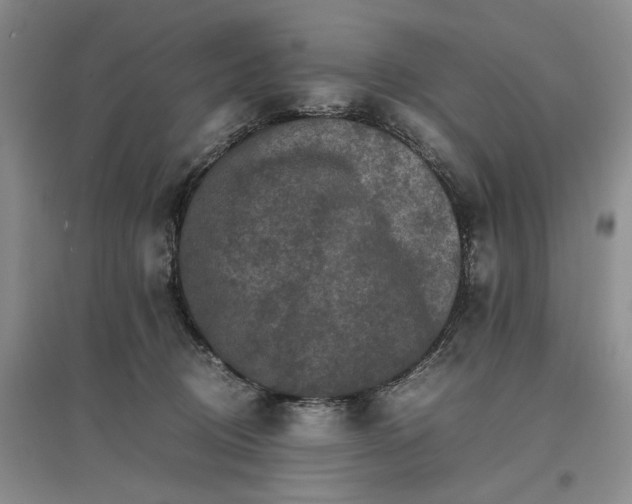X0000096700370200802261611