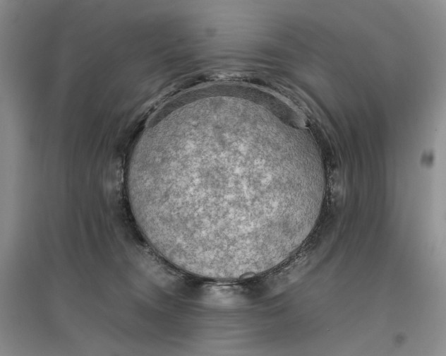 X0000096700372200802261611