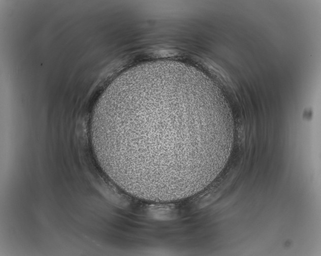 X0000096700373200802261611