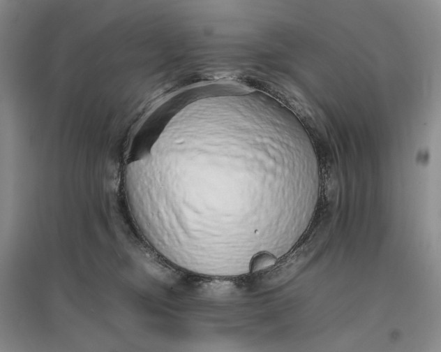 X0000096700374200802261611