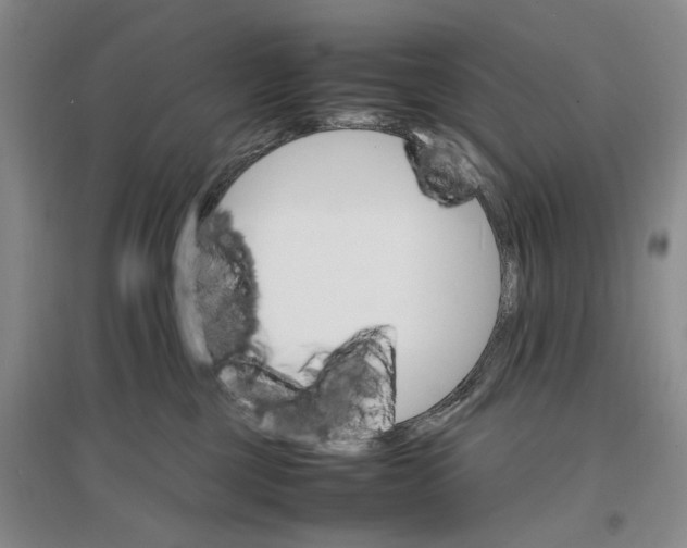 X0000096700377200802261611