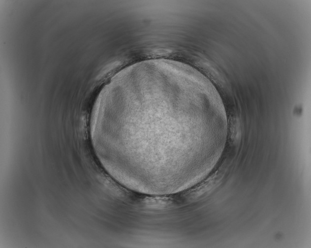X0000096700378200802261611