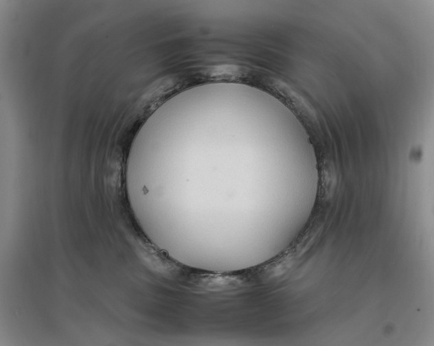 X0000096700379200802261611
