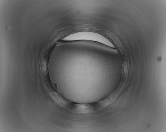 X0000096700380200802261611
