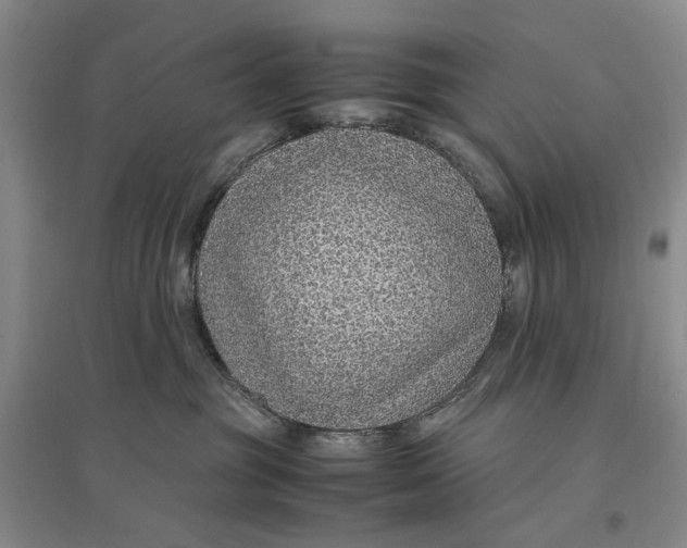 X0000096700381200802261611