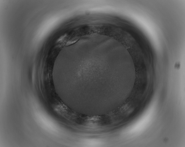 X0000096700382200802261611