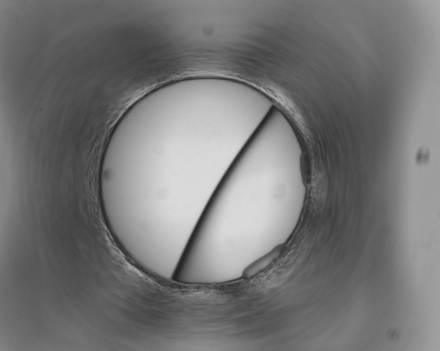 X0000096700385200802261610