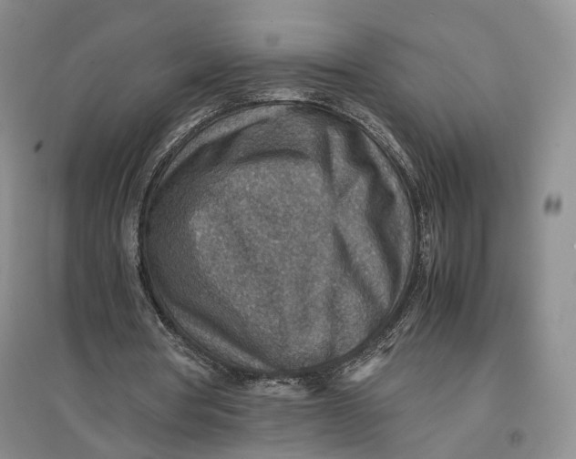 X0000096700386200802261610