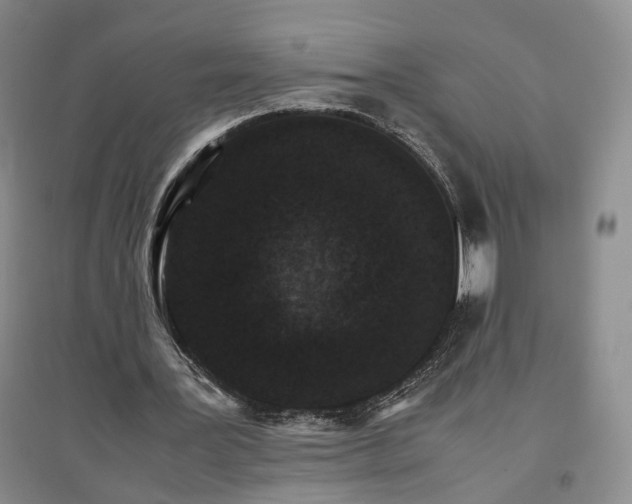 X0000096700387200802261610
