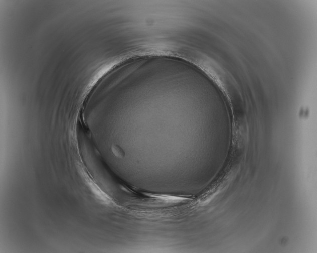 X0000096700389200802261610