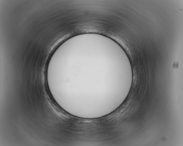 X0000096700390200802261610