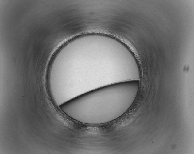 X0000096700391200802261610