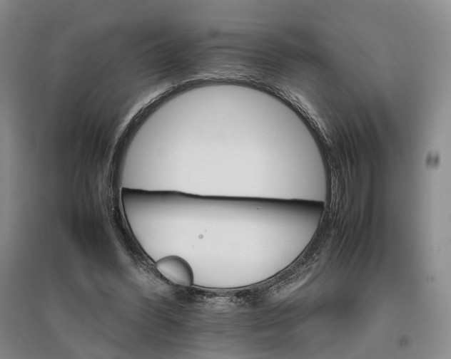 X0000096700396200802261610