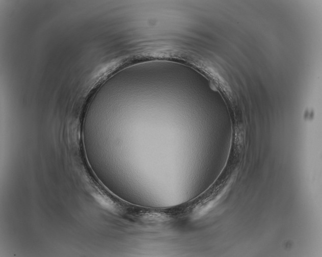 X0000096700397200802261610