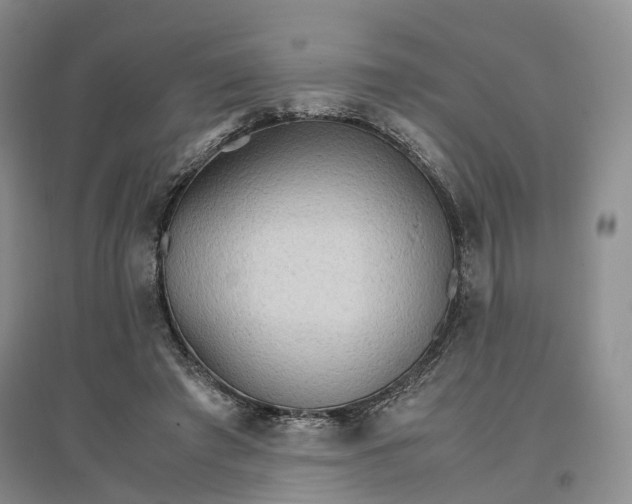 X0000096700401200802261610