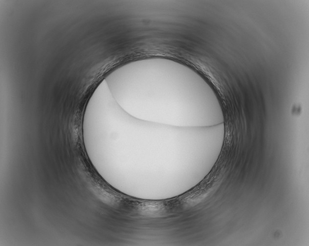 X0000096700402200802261610