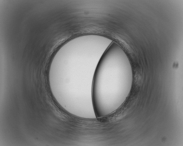 X0000096700403200802261610