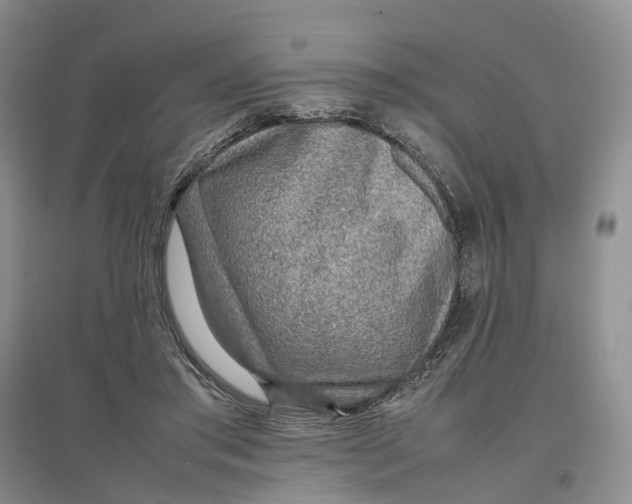 X0000096700405200802261610