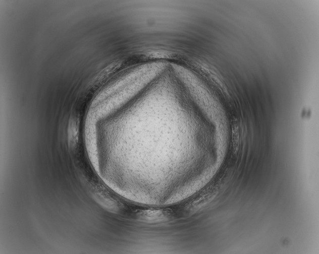 X0000096700406200802261610