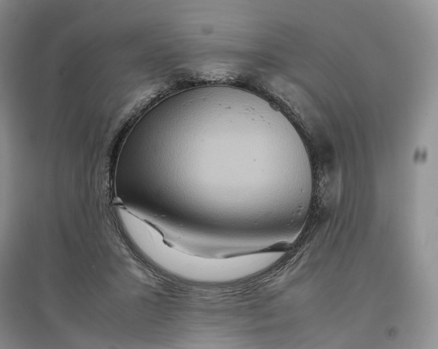 X0000096700407200802261610