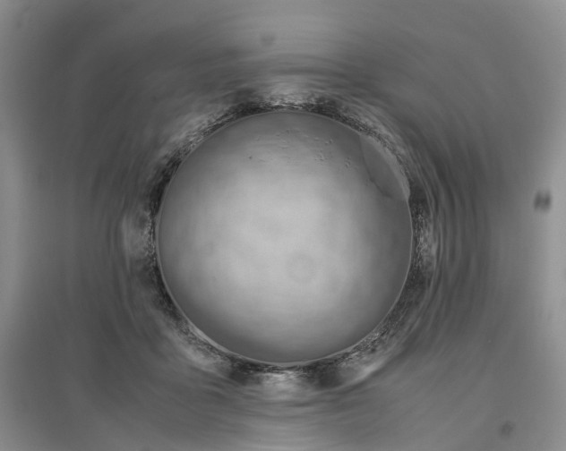X0000096700411200802261610