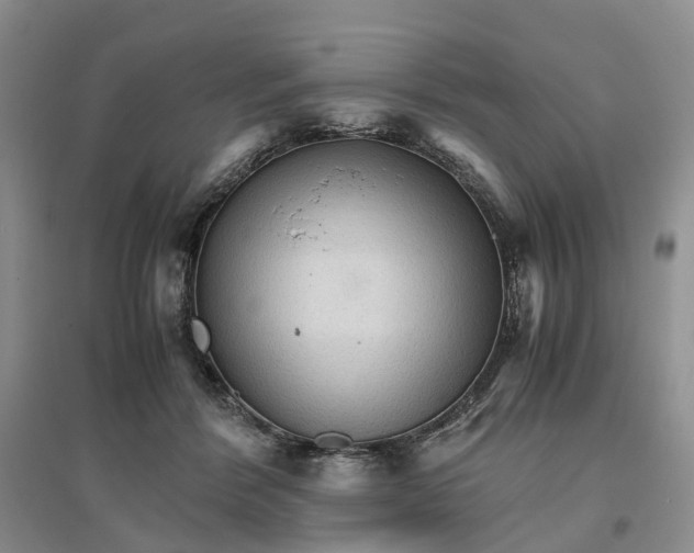 X0000096700412200802261610