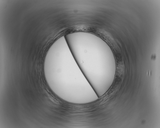 X0000096700413200802261610