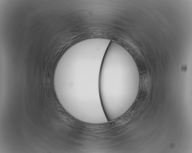 X0000096700417200802261610