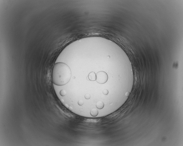 X0000096700418200802261610
