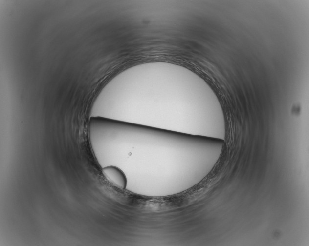 X0000096700420200802261610