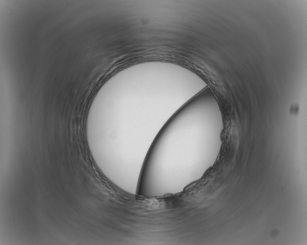X0000096700421200802261609
