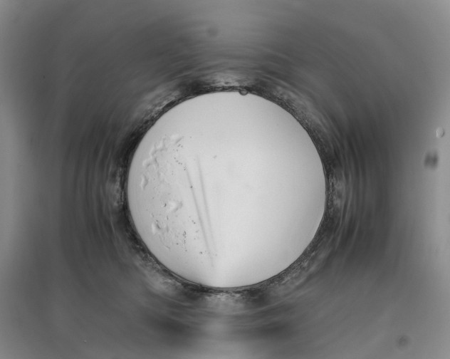 X0000096700422200802261609