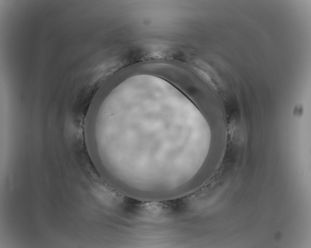 X0000096700423200802261609
