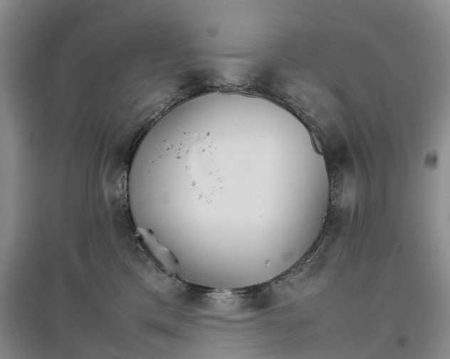 X0000096700425200802261609