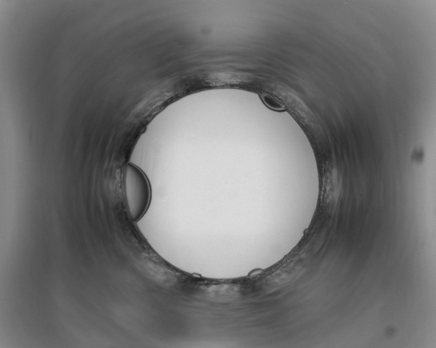 X0000096700426200802261609