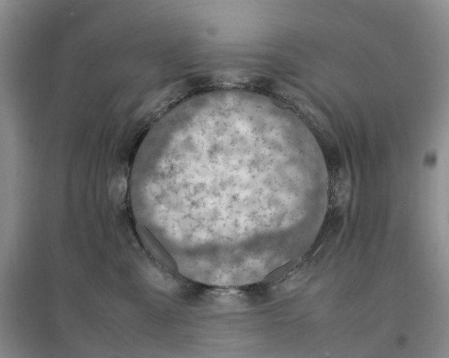 X0000096700427200802261609