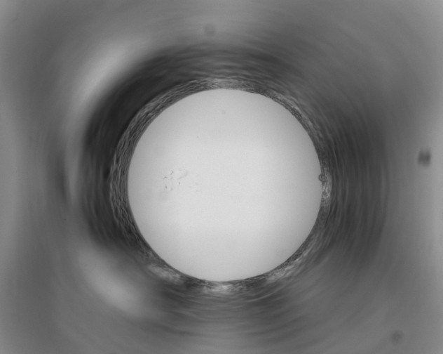 X0000096700430200802261609