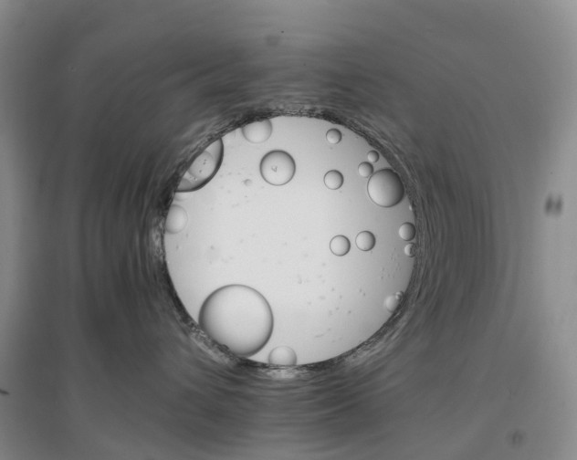 X0000096700432200802261609