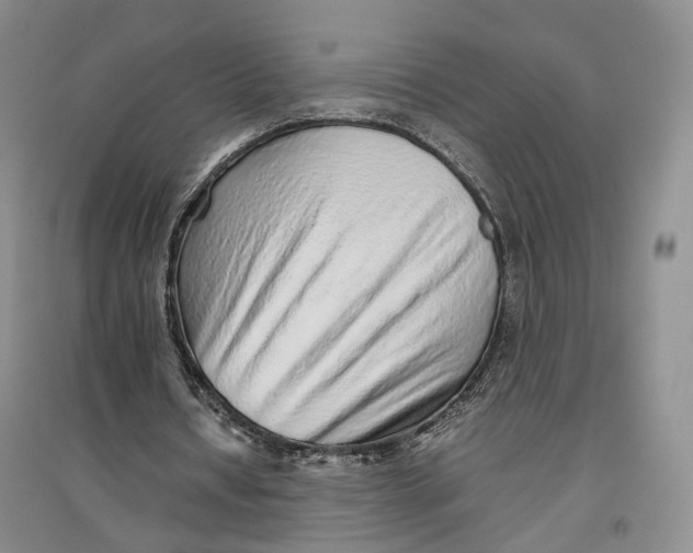 X0000096700434200802261609