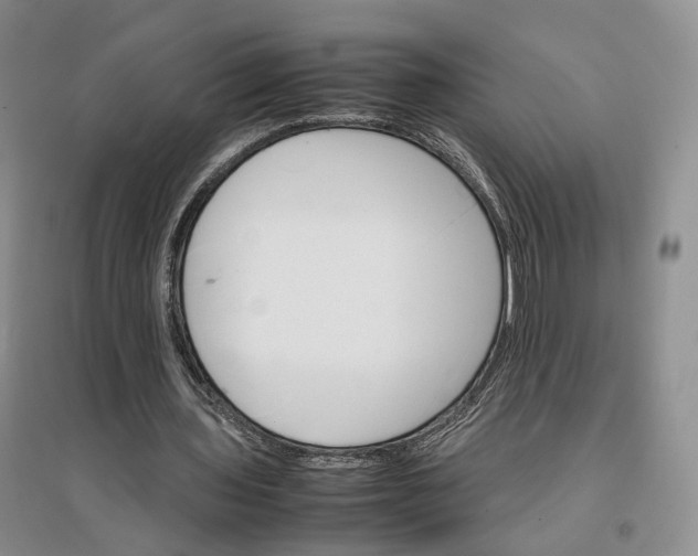 X0000096700435200802261609
