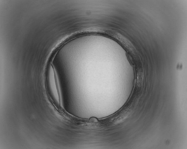 X0000096700436200802261609