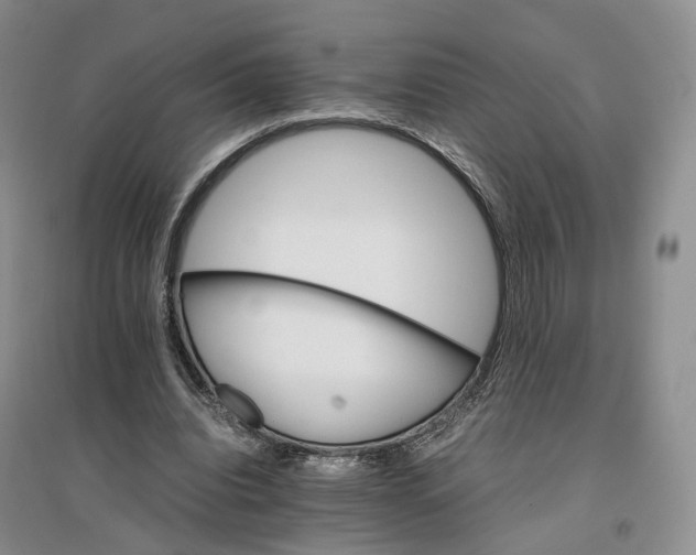 X0000096700440200802261609