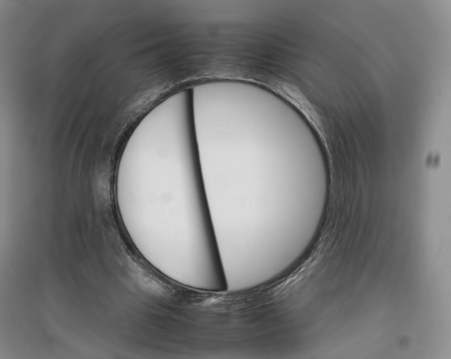 X0000096700441200802261609