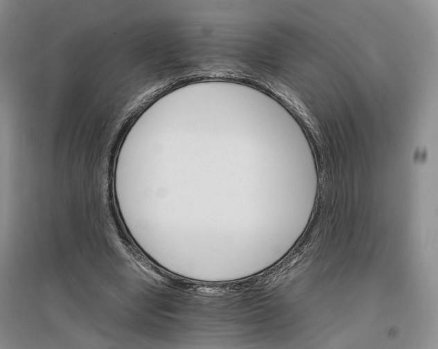 X0000096700442200802261609