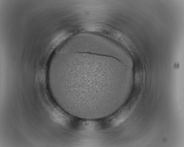 X0000096700444200802261609