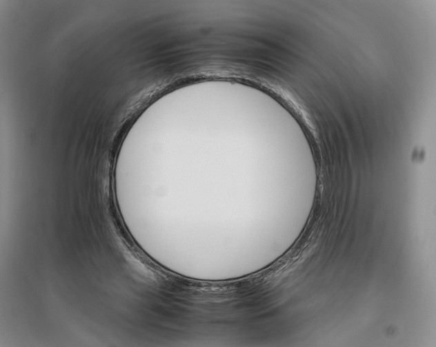 X0000096700445200802261609
